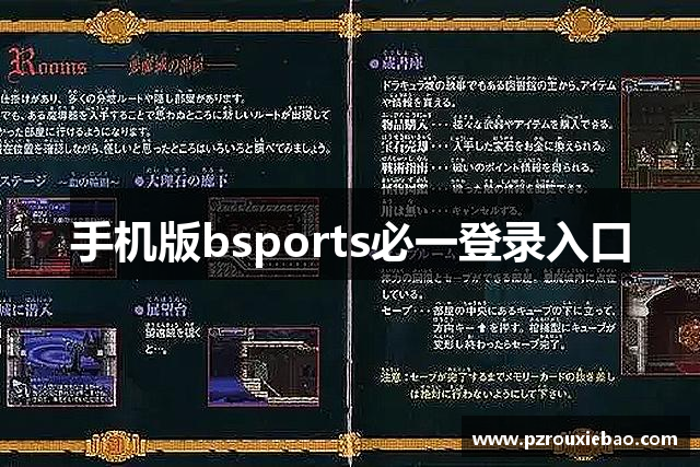 手机版bsports必一登录入口